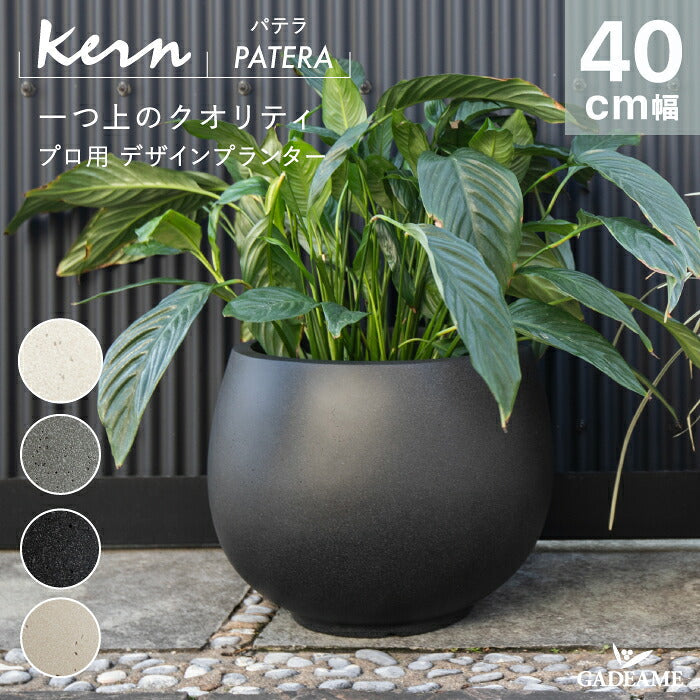 【希少/新品】tacson タクソン y鉢 tacson. 大鉢 植木鉢 pot タクソン y鉢 tacson. (@tacson.1.11