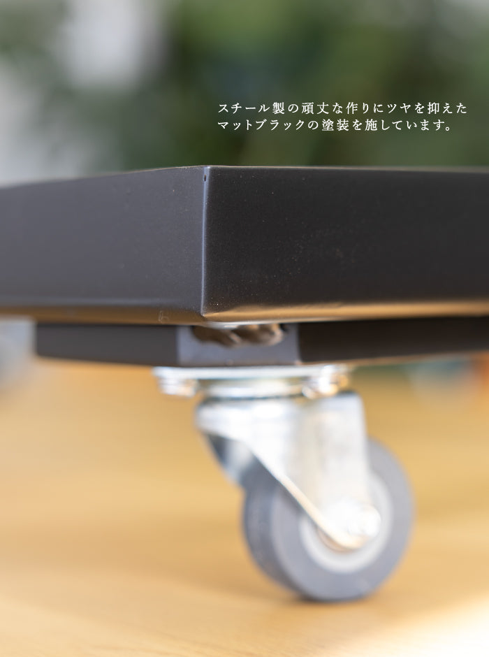 KERN BASIS RECTA 100用 キャリーベース